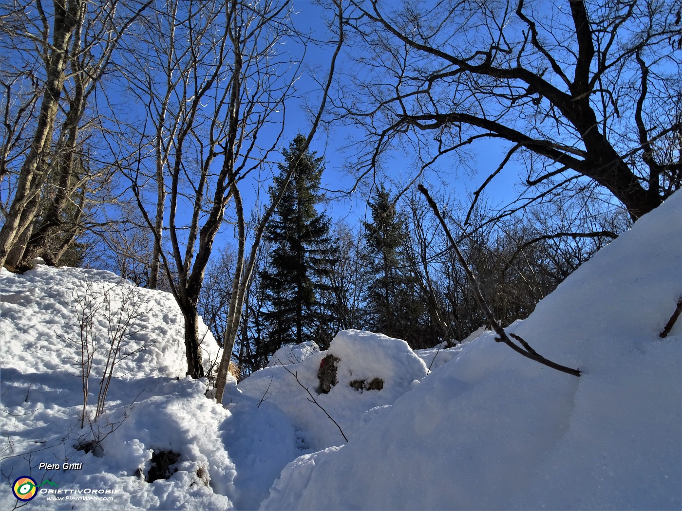 36 Pestando soffice neve dal Buco della Carolina al Monte Poieto sul sent. 537.JPG